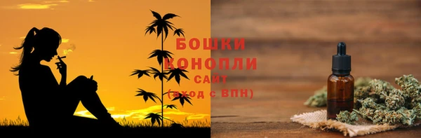 крисы Новокубанск