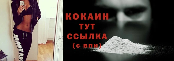 крисы Новокубанск