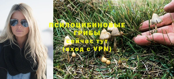 прущая мука Новозыбков